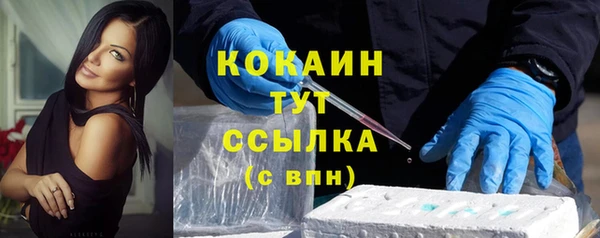 соль ск Гусь-Хрустальный