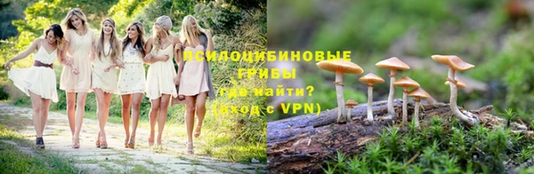 а пвп мука Гусев
