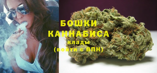 соль ск Гусь-Хрустальный