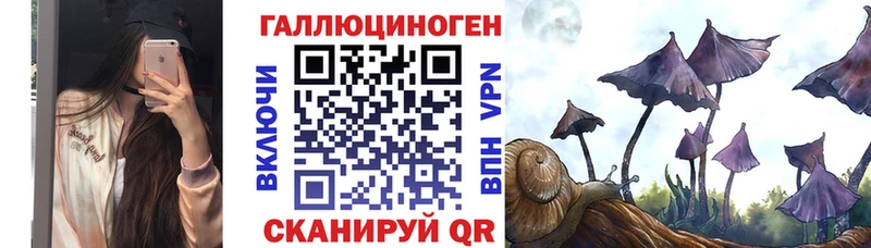 Купить  Зуевка  Псилоцибиновые грибы прущие грибы 